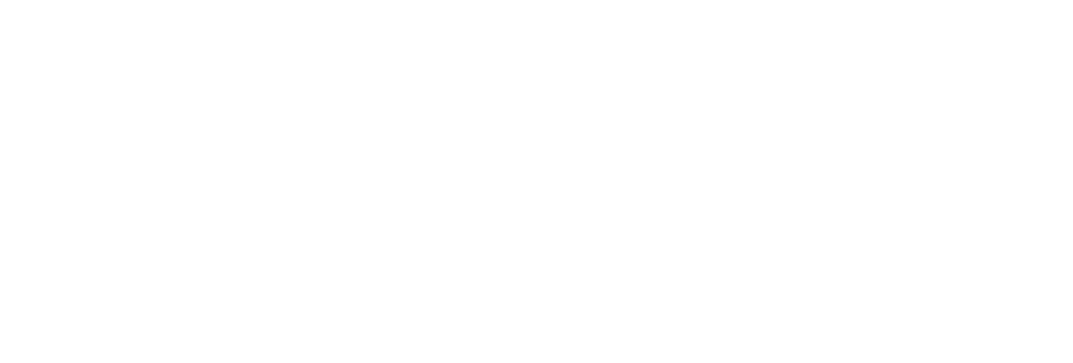 Streamlyne